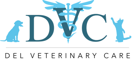 Del Veterinary Care
