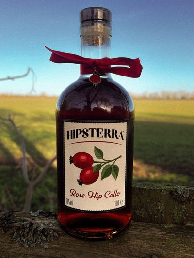 A bottle of Hipsterra Rose Hip Cello with it's signature red ribbon, outdoors.