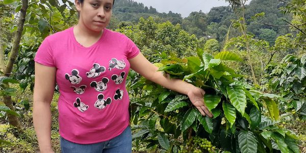 Ethically sourced coffee beans