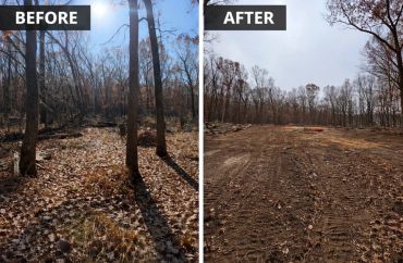 Comparison of forest area before and after clearing.