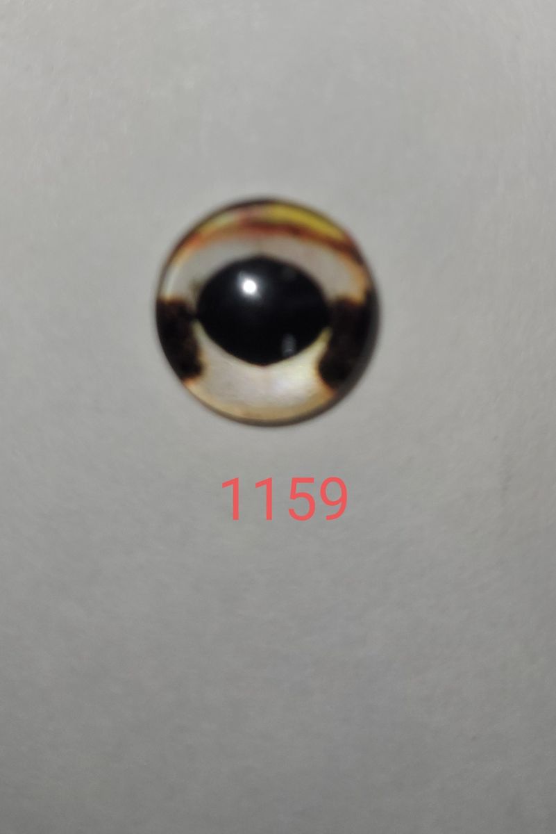 Custom Glass Eyes 1123 Fishy 10pk