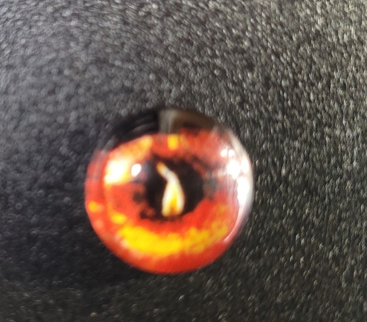 Custom Glass Eyes 2427 Flame Broiled 10pk
