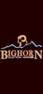 Big Horn Custom Homes