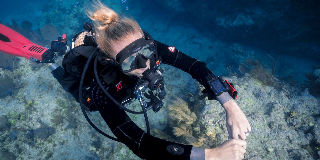 Scuba diver swimming over a reef