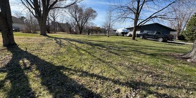 A grassy yard with trees casting long shadows under a clear sky.