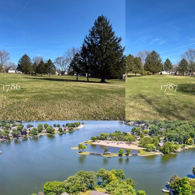 Two tree photos labeled 1786 and 1787 above an aerial lake view with greenery.