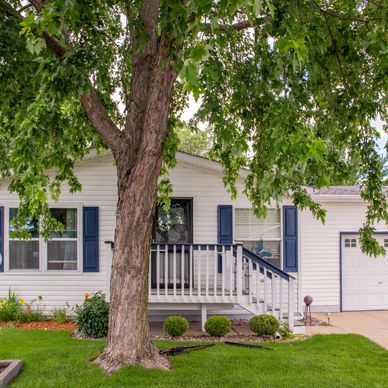 Cozy white house with blue shutters and a large tree in the front yard.