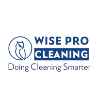 Wise Pro Cleaning