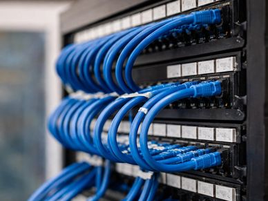 Blue Ethernet cables neatly connected to a network patch panel.