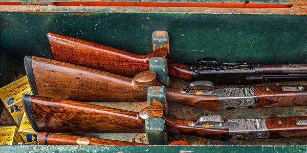 Three vintage shotguns in a green case.