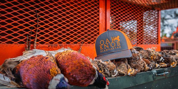 A cap on top of dead birds on a metal surface.