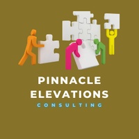Pinnacle Elevation Consulting 