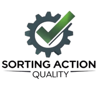 Sorting Action Quality