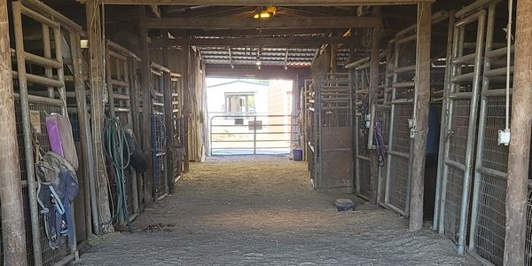 horse boarding facility sachse, wylie texas, clean horse boarding