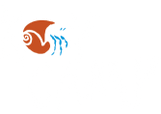KoyCamp