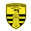 Wincanton Town Ladies Football Club 