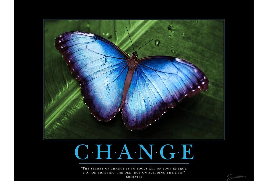 Dr. Susan Merrick, psychologist, counseling, therapy, Ocala, depression, anxiety