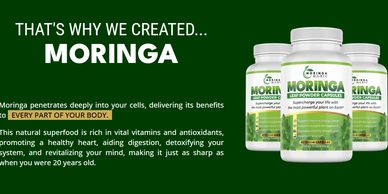 TRY MORINGA TODAY
THE MOST POWERFUL PLANT ON THE PLANET

