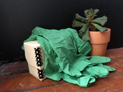 Green nitrile gloves draped over a miniature archival box, next to a green plant and clay pot.