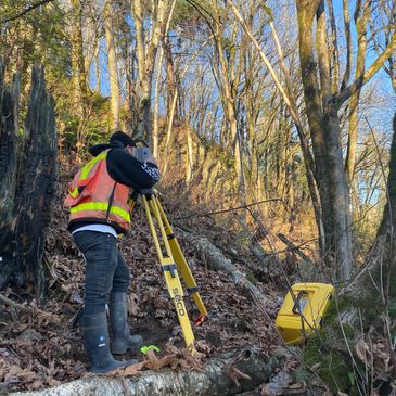 ABBOTSFORD SURVEYOR - Topographic Survey