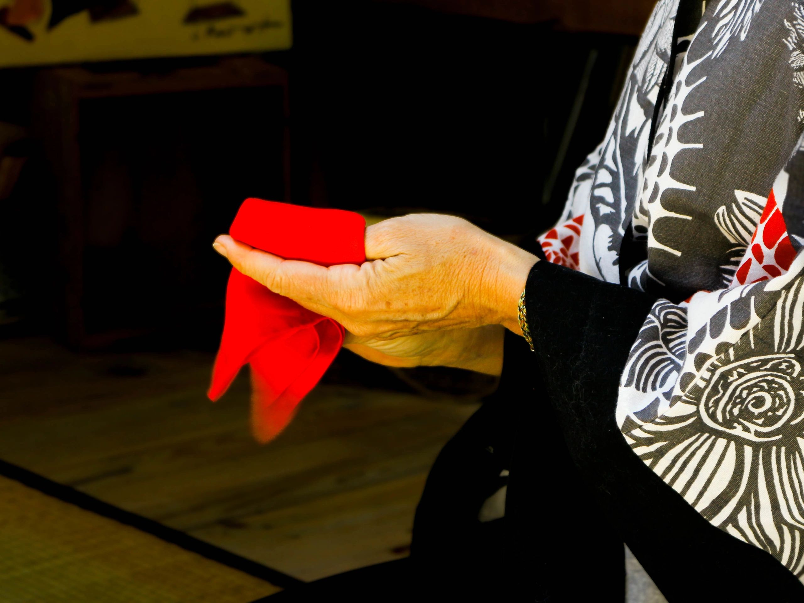 Close-up of hands holding a red cloth, wearing a patterned garment.