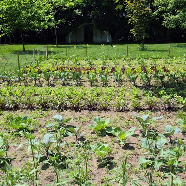west acre farm produce Mount Brydges Ontario farm stand market garden local flower farm vegetables