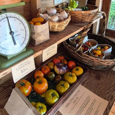 west acre farm produce Mount Brydges Ontario farm stand market garden local flower farm vegetables