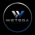 Wetsga LLC