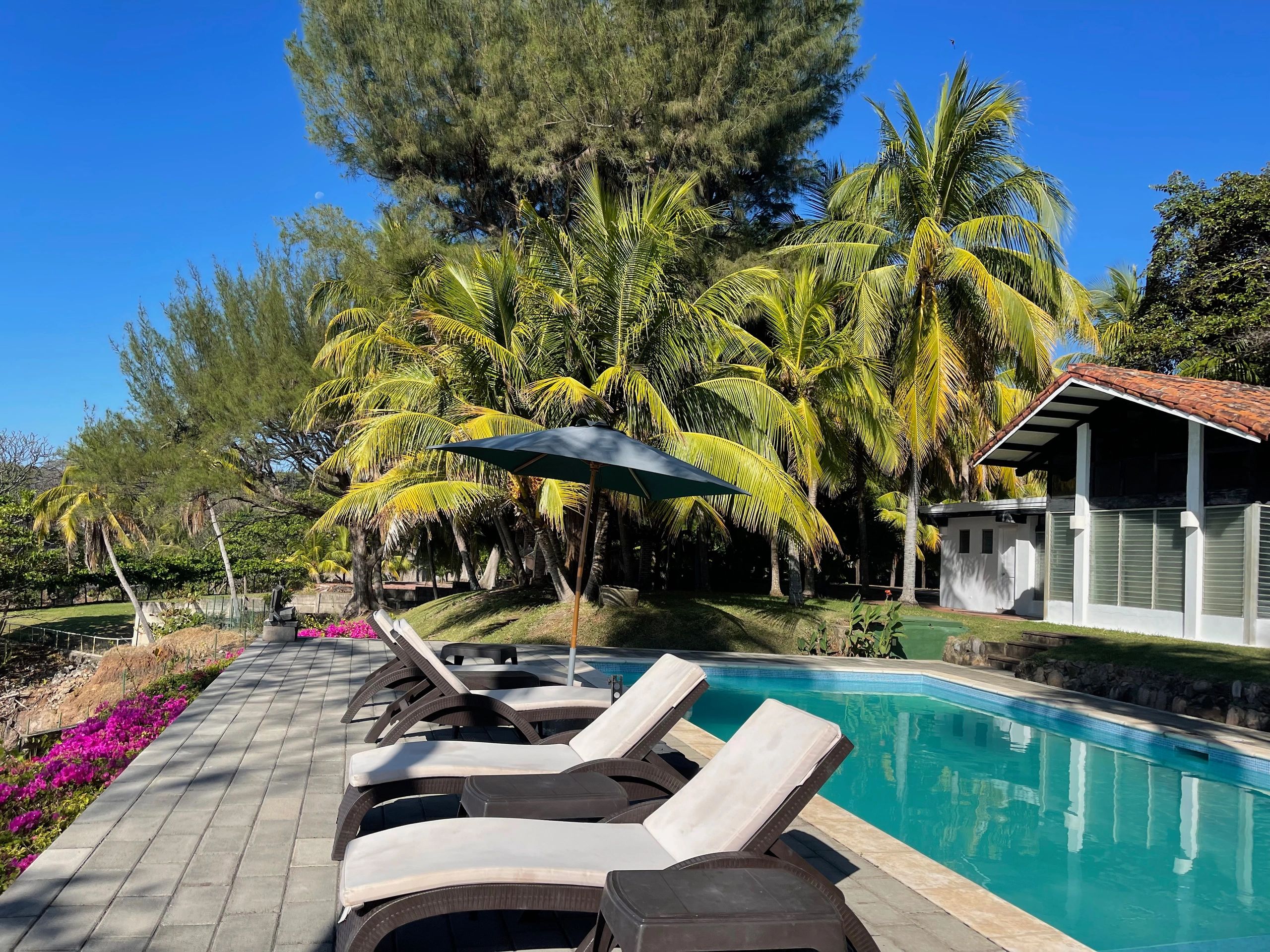 Bitcoin Ben Beach Whale Resort