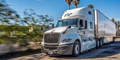 A white semi-truck driving on a road with palm trees.