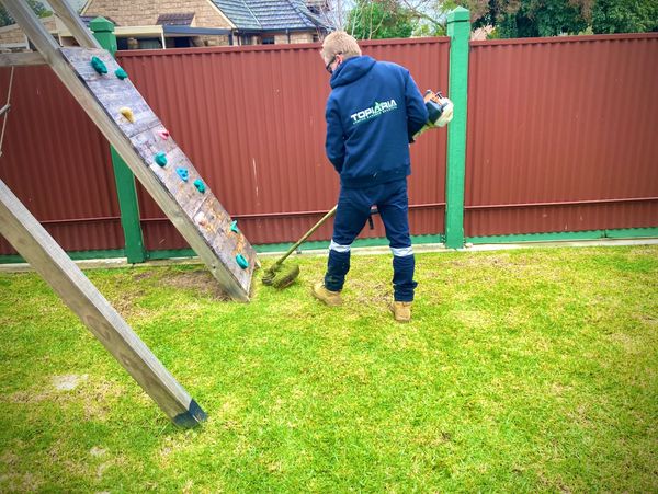 residential lawn mowing services wangaratta