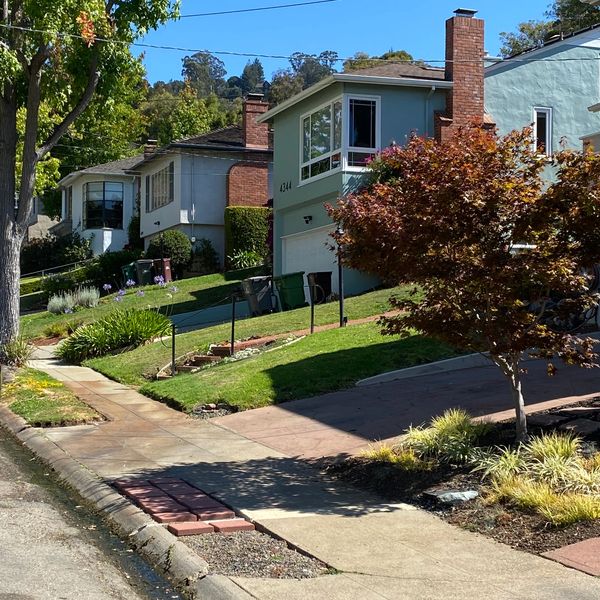 Green houses, green grass & blue sky on a sunny day in Oakland, California.