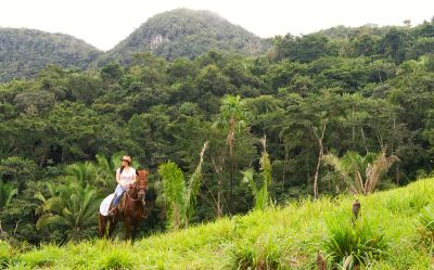 Person horseback riding in a lush green mountainous area.