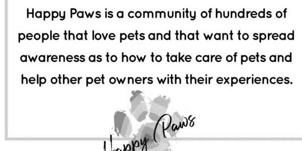 Nancy Mello, Animal Communicator works with Happy Paws of Riyadh, Saudi Arabia