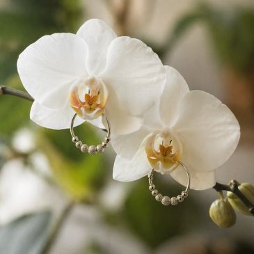White orchids with silver hoop earrings.
