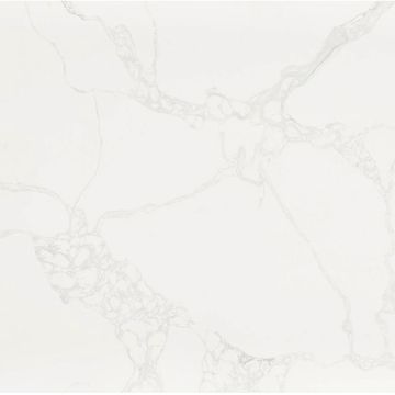 Calacatta Bellatrix is bright white quartz with “webbed” details throughout.