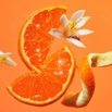 Basanti Beauty Lab 