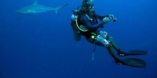 curso de buceo dive master PADI en bogota 