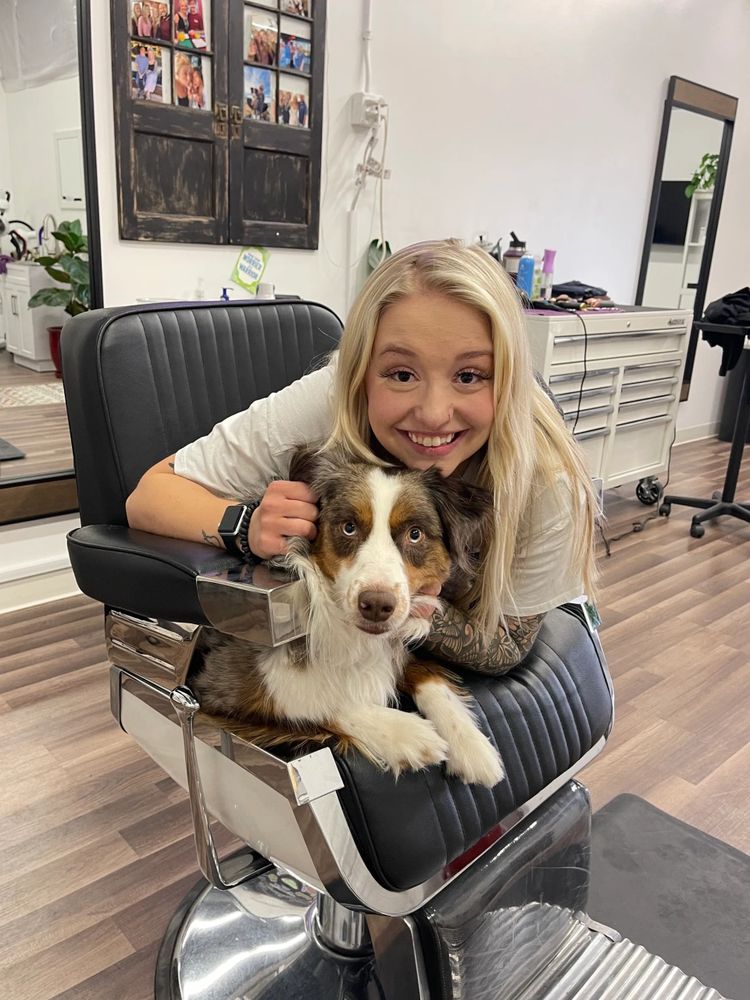 Grooming? … Do you recommend having your aussies hair cut/thinned? Bronco  lives in the (already) 100° Texas heat. I have read that their coat helps  keep them cool but have also read