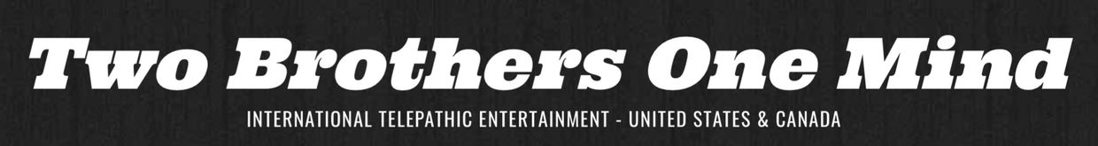 twobrothersonemind.com