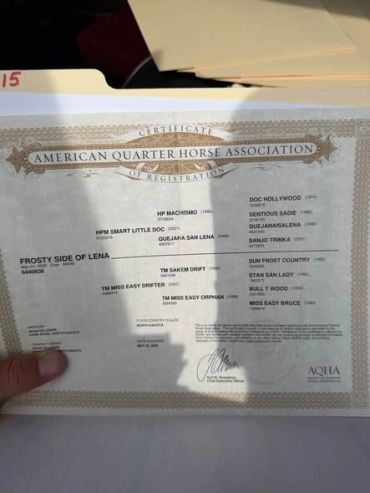 American Quarter Horse Association registration certificate.