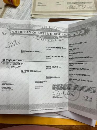 American Quarter Horse Association registration document.