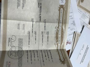 American Quarter Horse Association document on a table.