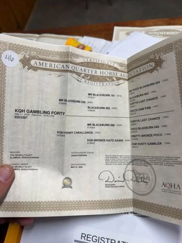American Quarter Horse Association registration document.