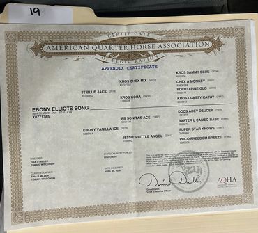 Certificate from American Quarter Horse Association for Ebony Elliot's Song.