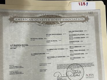 American Quarter Horse registration certificate for LF Queen Royal.