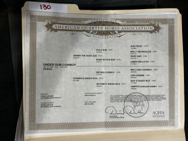 American Quarter Horse Association certificate for a horse named Under Sun Cowboy.