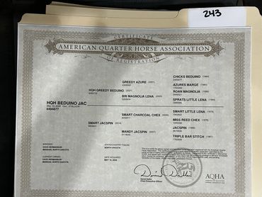 Certificate of registration for an American Quarter Horse.