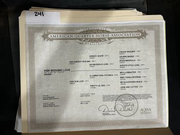 American Quarter Horse Association certificate with horse pedigree details.