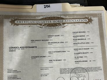 American Quarter Horse Association certificate for Lenasclassydynamite.